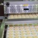 LIPSIA Automation GmbH, Brandis - 9