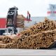 Ilim Timber Bavaria GmbH, Landsberg am Lech - 12